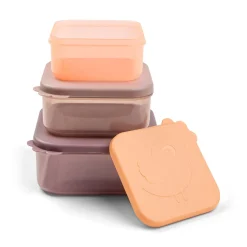 Done by Deer Snack Tid|Madopbevaring>Snack boks sæt 3 stk. - Deer friends - Pudder