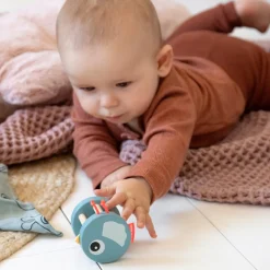 Done by Deer Trælegetøj|Aktivitetslegetøj>Trærangle - Birdee - Blå